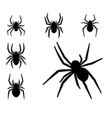 Павук маленький 1шт 3D 3*4см