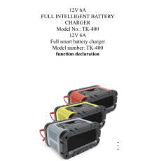 Зарядний пристрій 12V6a Smart Car Battery TK400 (16)