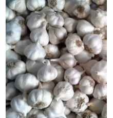 Часник Яровий 0,5кг