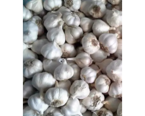 Часник Яровий 0,5кг