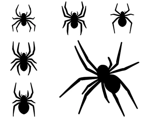 Павук великий 1шт 3D