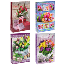 Пакет кольоровий середній 27*16*7см