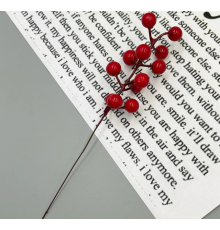 Декоративна гілка Калина Лакова 21*1,3 см Червона №16