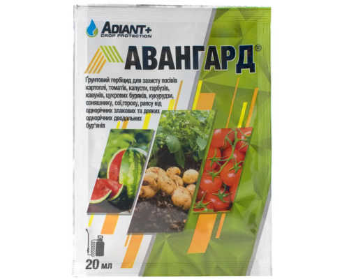 Авангард 20мл Adiant