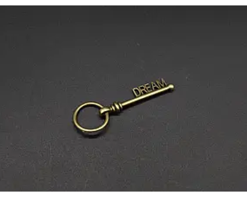 Металевий ключик. LDREAM. 5х1.7см